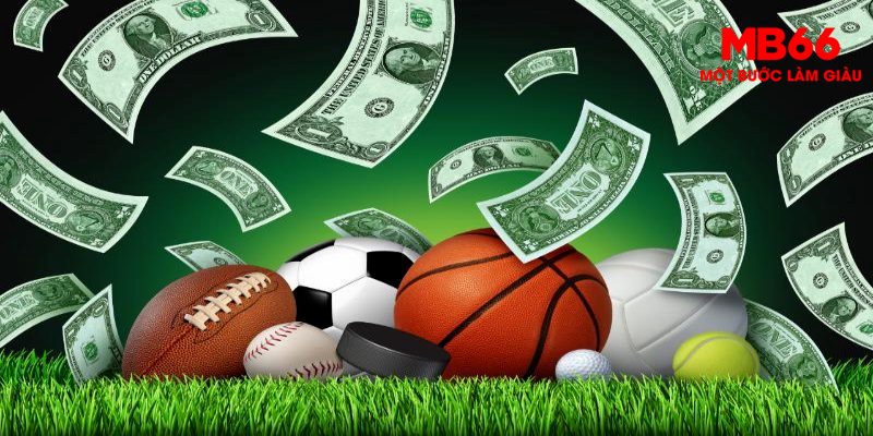 Giao diện người dùng của Lucky Sport khá thân thiện và dễ sử dụng
